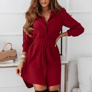 knee-length-casual-a-line-slim-fit-shirt-dress-with-long-sleeves-2