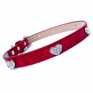 love-hearts-croc-collar