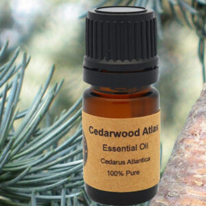 cedarwood-atlas-essential-oil-15-ml